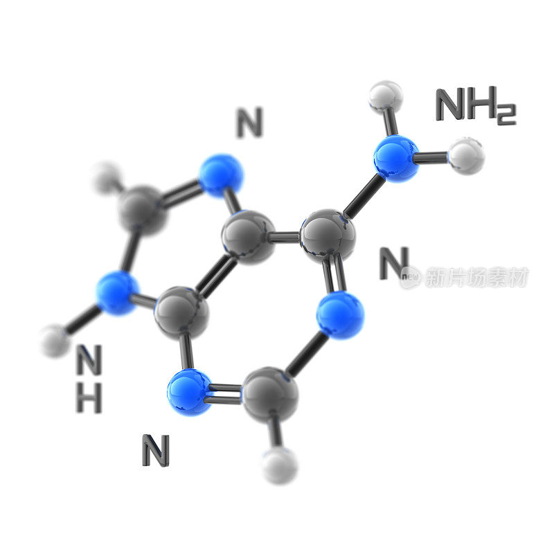 腺嘌呤分子