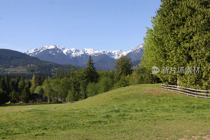 奥林匹克山脉旁的牧场