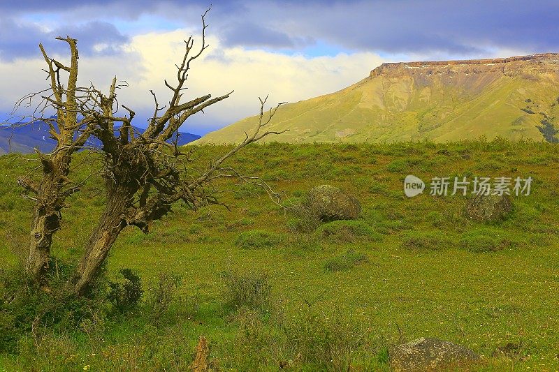 巴塔哥尼亚山脉和草原景观，Estancia附近Calafate，阿根廷