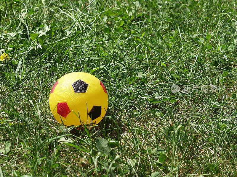 球在草地上