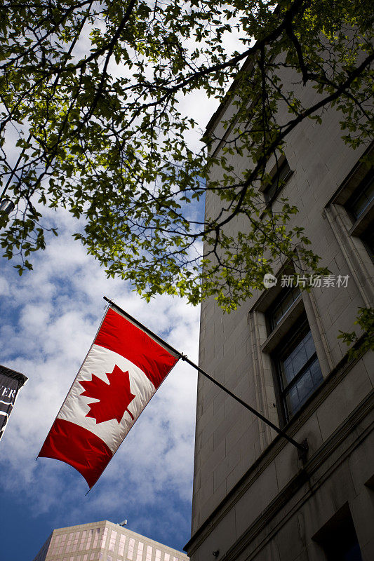 加拿大国旗，树木和建筑