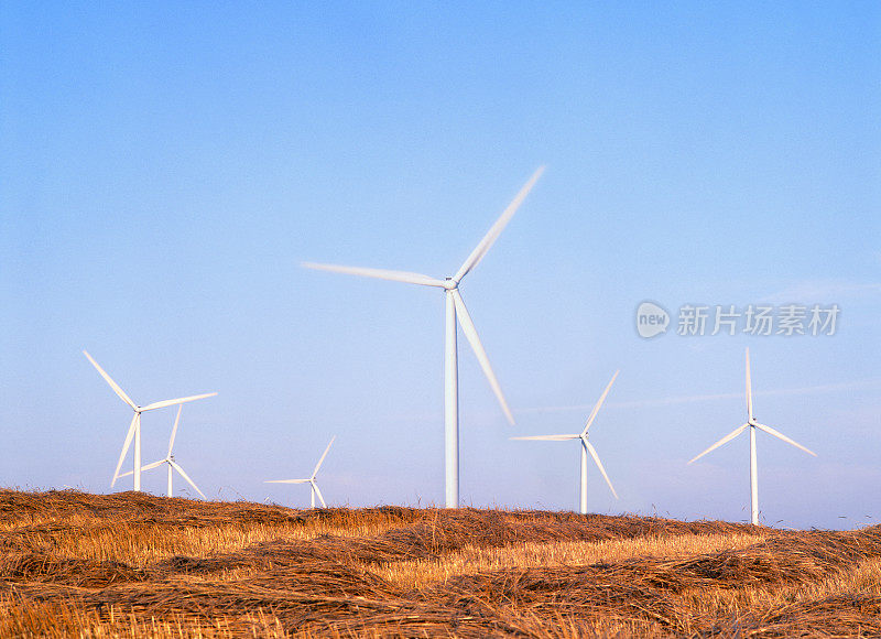 风力涡轮机在收割谷物的田地里