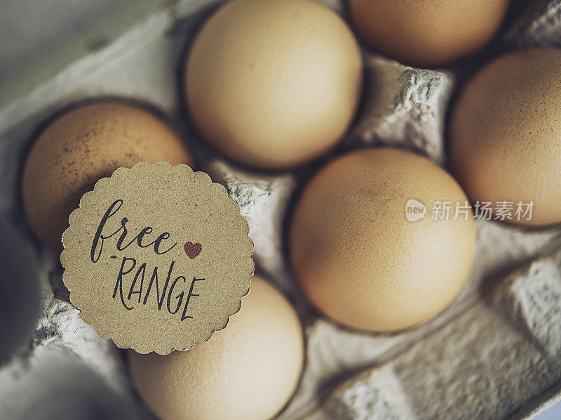 有机，新鲜，自由放养鸡蛋在纸板鸡蛋盒