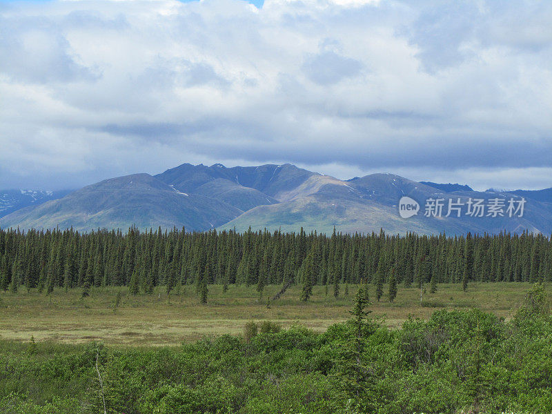 阿拉斯加德纳里国家公园的麦金利山