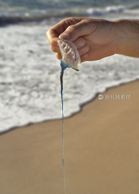 早上在海滩上