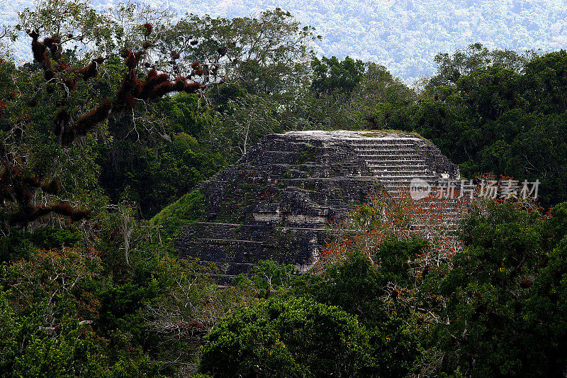 危地马拉蒂卡尔的玛雅神庙