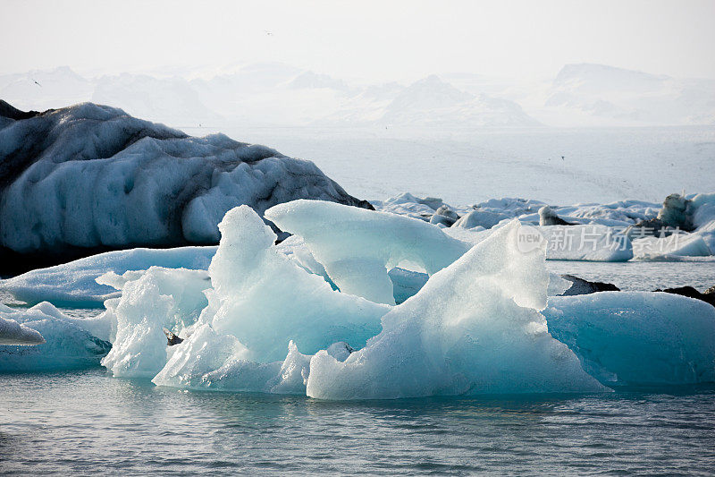 冰川泻湖中的闪亮冰山