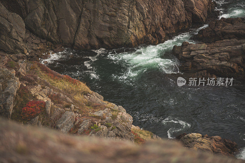 纽芬兰的岩石海岸