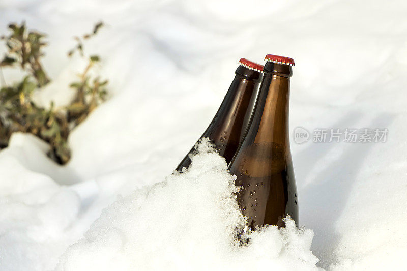 雪地上的啤酒瓶