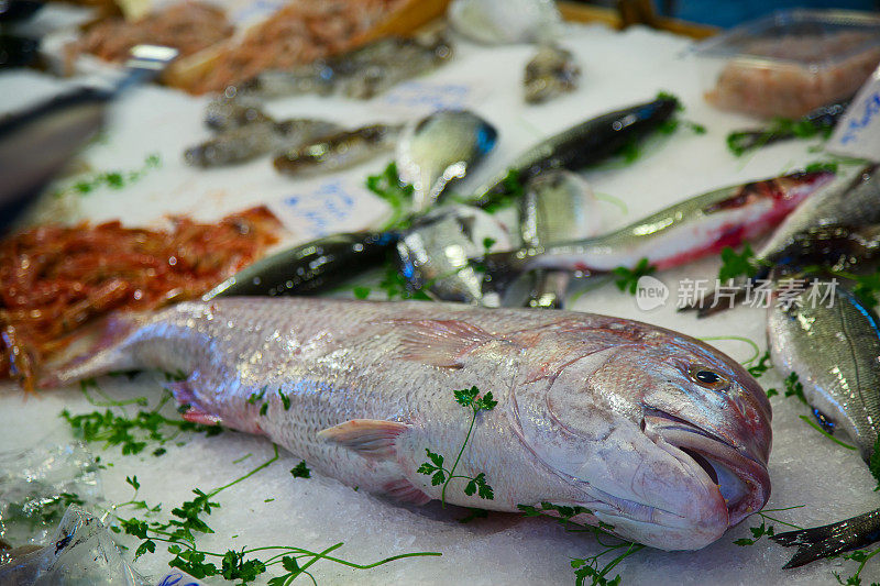 意大利巴勒莫的市场摊位上的石斑鱼