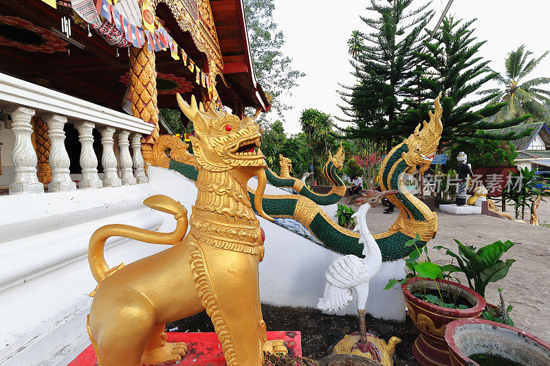 拉贾辛哈+龙雕像寺。老挝的穆汗国。3572
