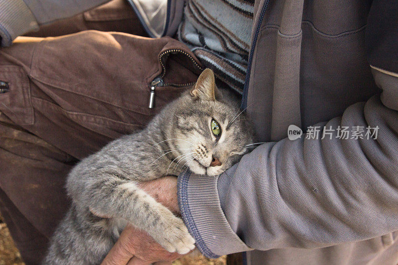 男人和他的猫