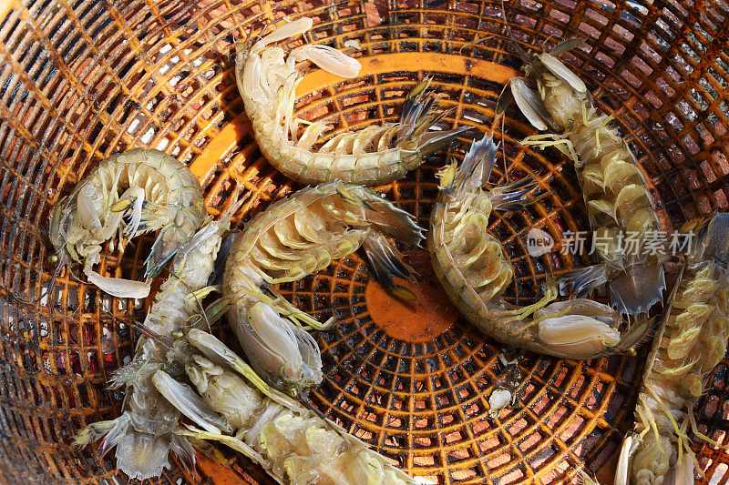 河豚鱼和螳螂虾