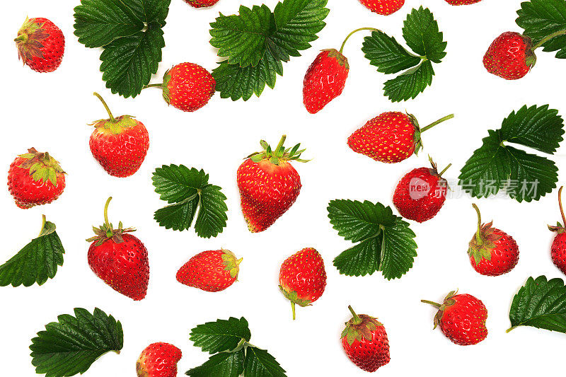 白色背景上孤立的草莓图案-果实图案