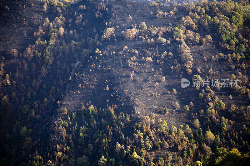 黄昏烧毁的森林，森林火灾后的全景山。加利西亚,西班牙。
