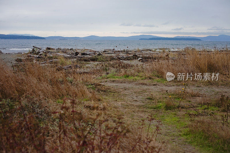 维多利亚岛景海滩