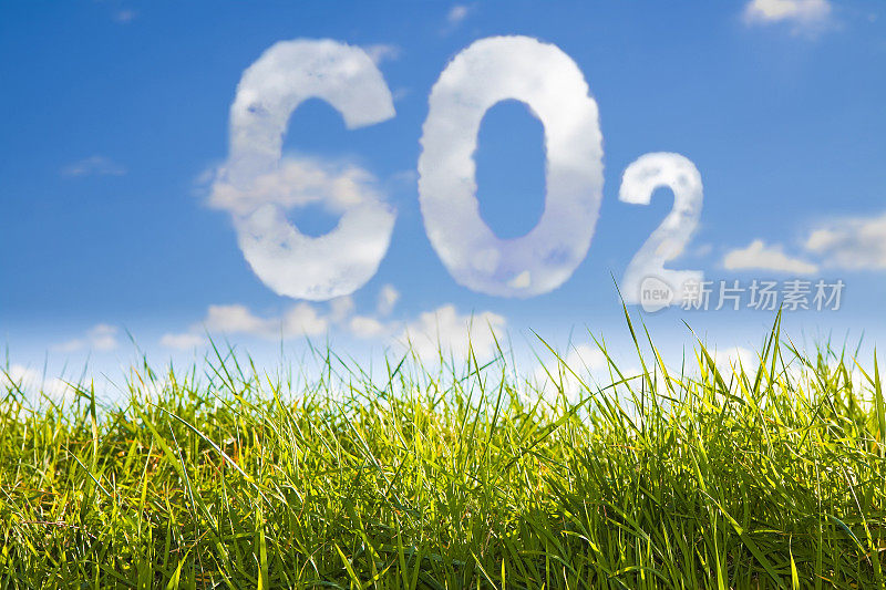CO2概念图像，以天空为背景的绿色野草为背景