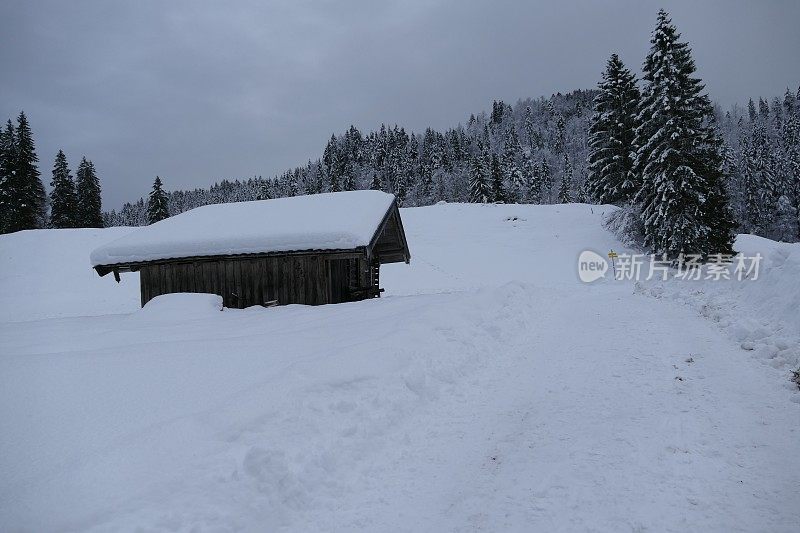 在欧洲阿尔卑斯山脉，冰雪覆盖的冬季景观和森林