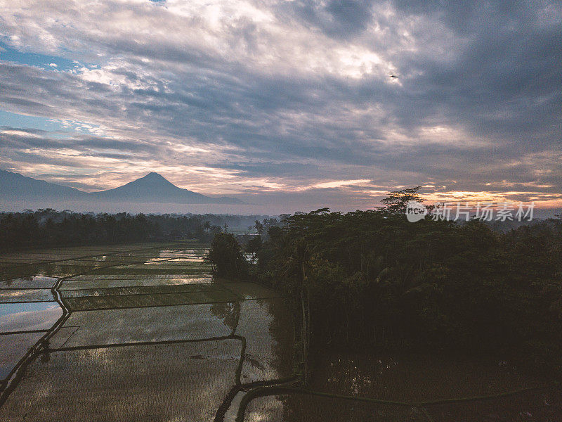 稻田和火山鸟瞰图婆罗浮屠，日惹，印度尼西亚