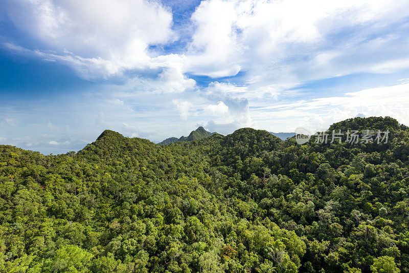 马来西亚兰卡威岛的热带雨林山脉