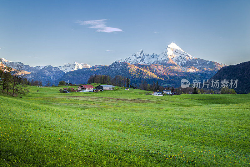 春天，阿尔卑斯山的田园风光和碧绿的草地