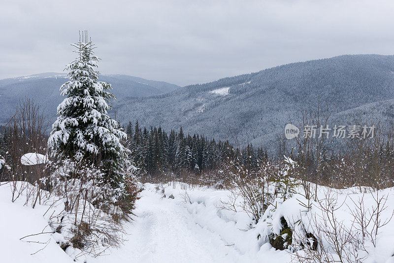 冬季喀尔巴阡山脉的徒步路线