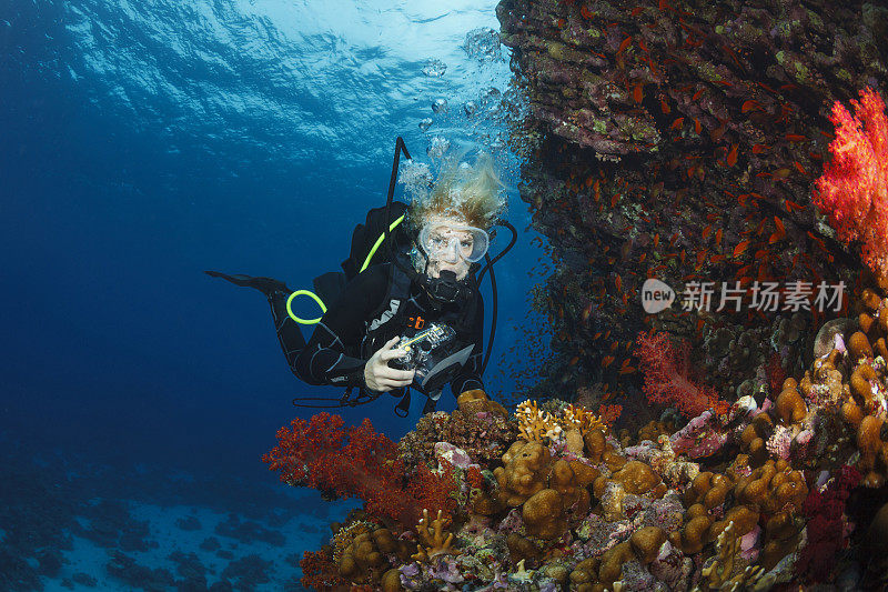 潜水员正在探索和享受珊瑚礁海洋生命运动妇女水下照片