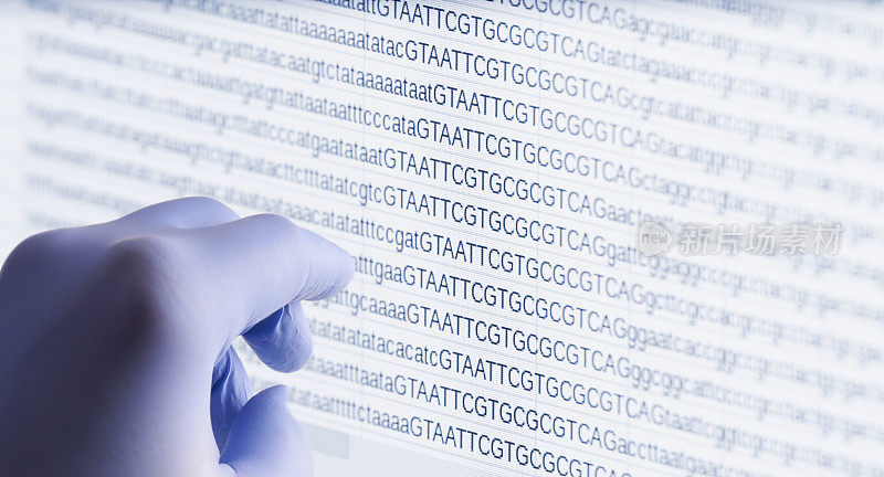 基因组DNA数据在电脑屏幕上与手。生物学和研究。