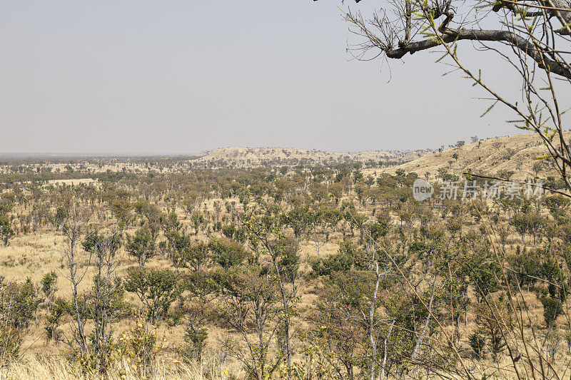 津巴布韦南特维奇营地附近的万基国家公园