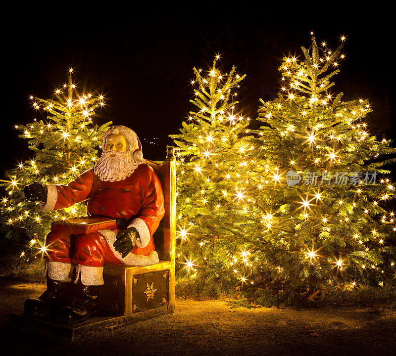 坐在圣诞树旁的女人