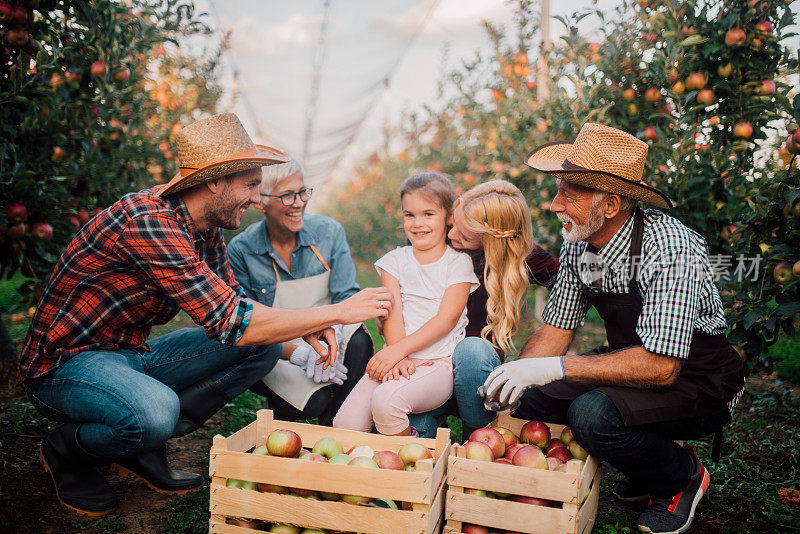 一家和孩子们在种植苹果