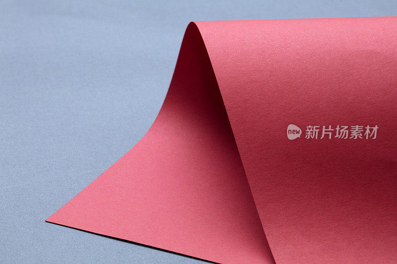 蓝色背景的粉红色卷曲纸。