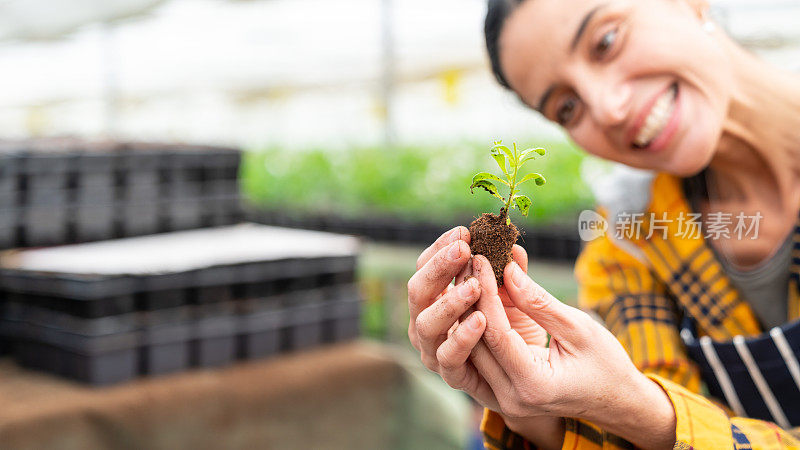 女园丁在一个大温室里抱着一盆植物