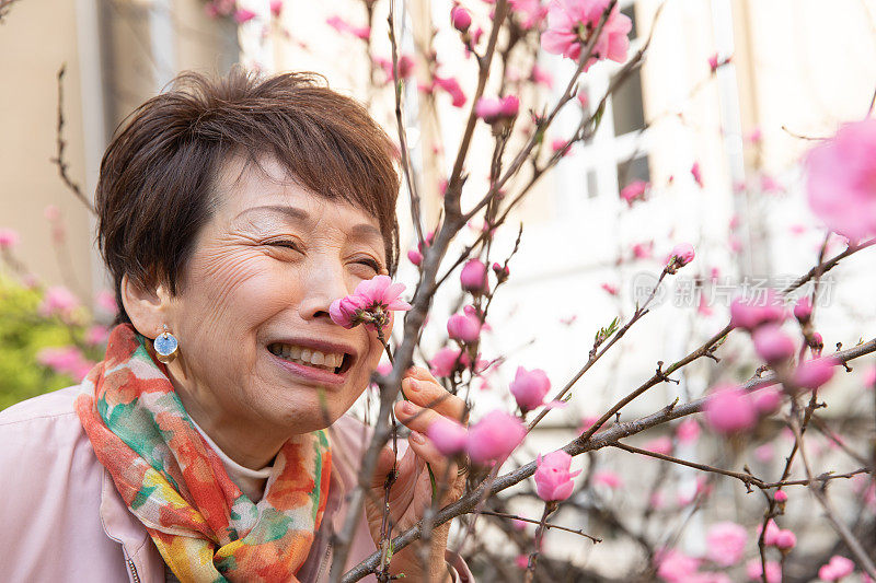 年长日本女人