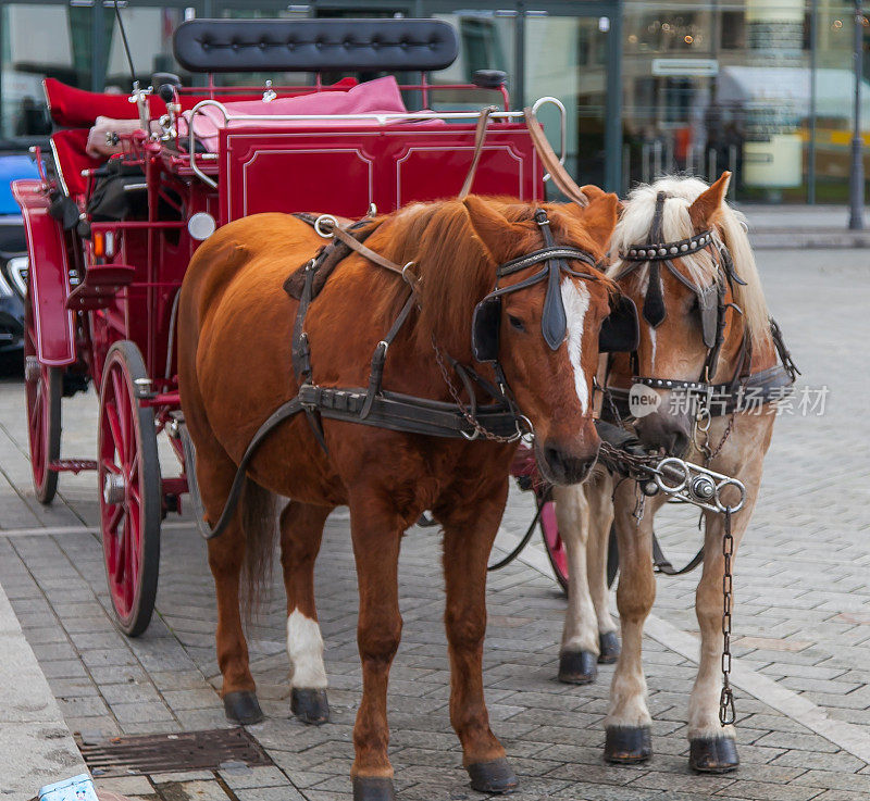 柏林-马车和马