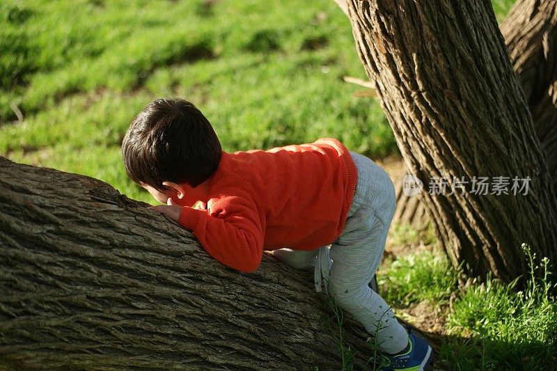 一个快乐的蹒跚学步的小男孩躲在树后，沐浴在春天的大自然中。