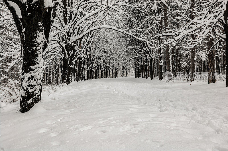 冬天的公园里有雪。