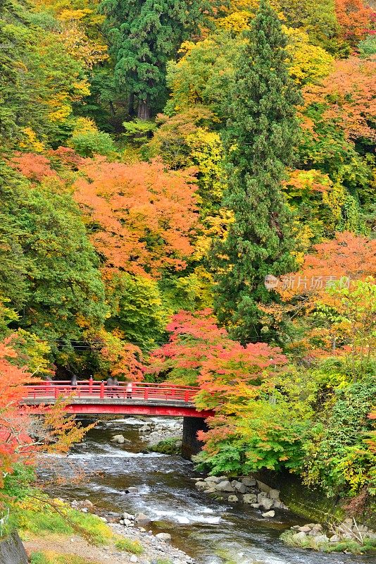 青森县黑石的中野百山公园秋叶