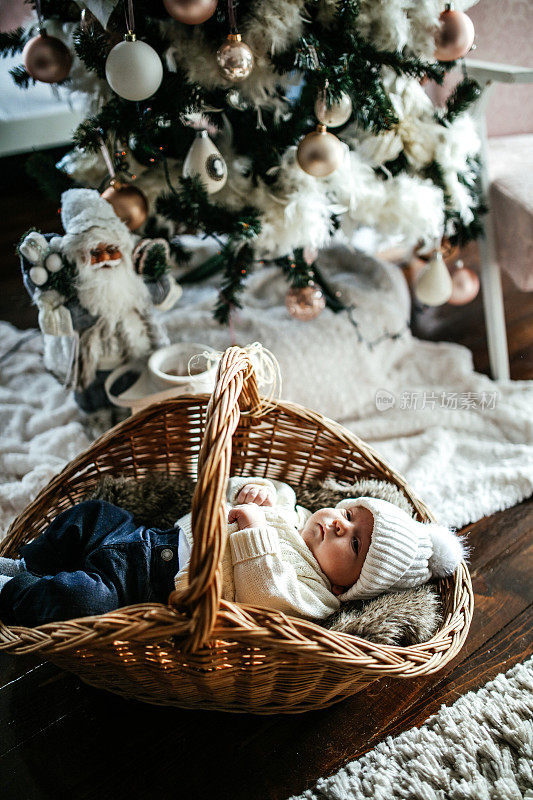 在圣诞树旁的篮子里的婴儿