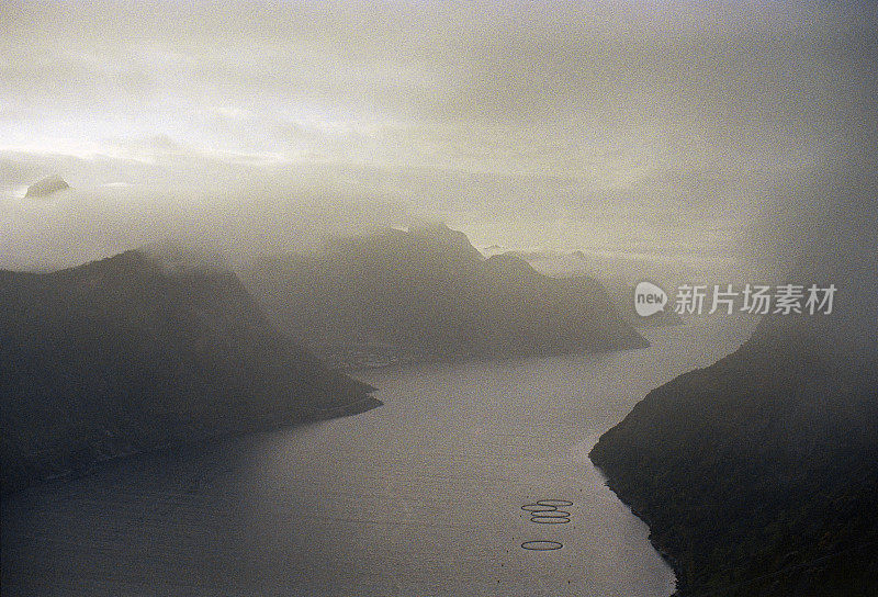 山中雾中的Senja岛风景