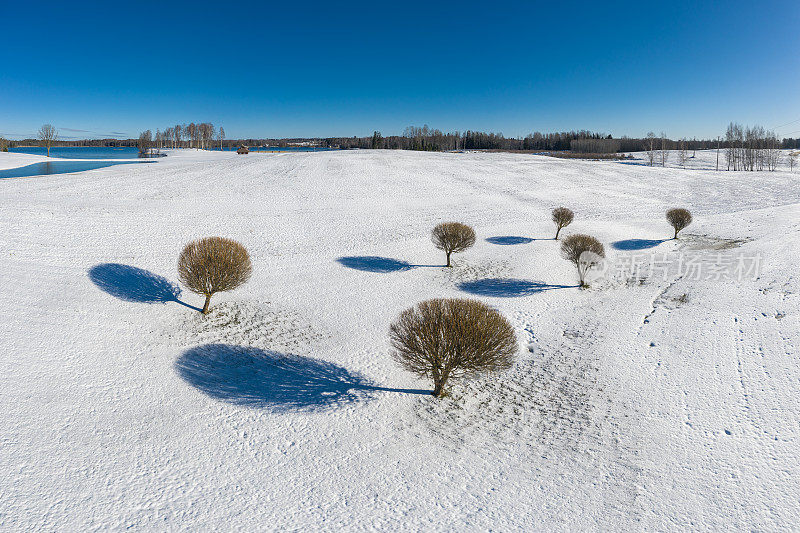 拉脱维亚维德泽姆地区的最后一场雪