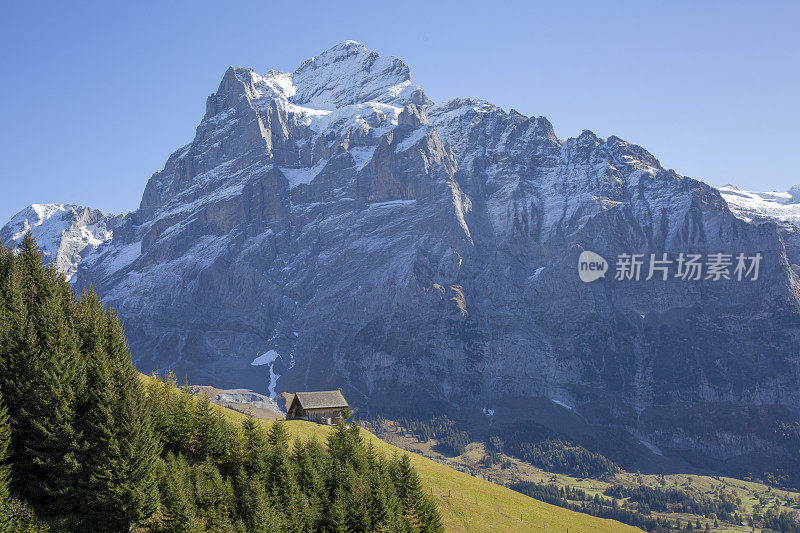 瑞士阿尔卑斯山下面阳光明媚的山谷风景