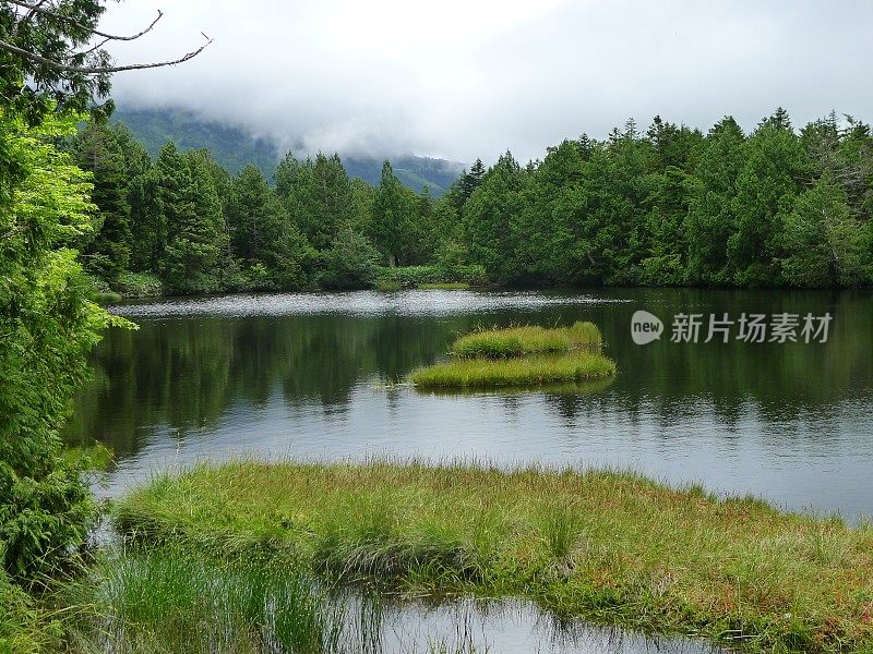 志贺高地(日本上心越国家公园志贺山)