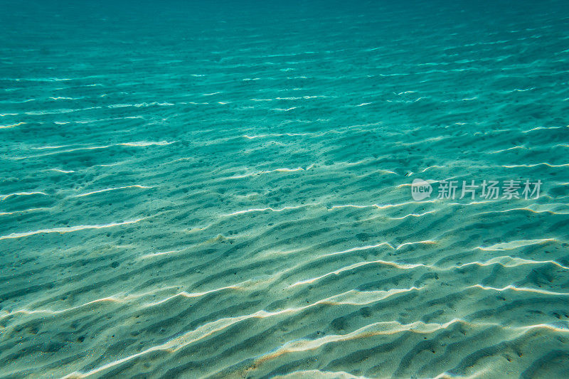 水下海洋风景