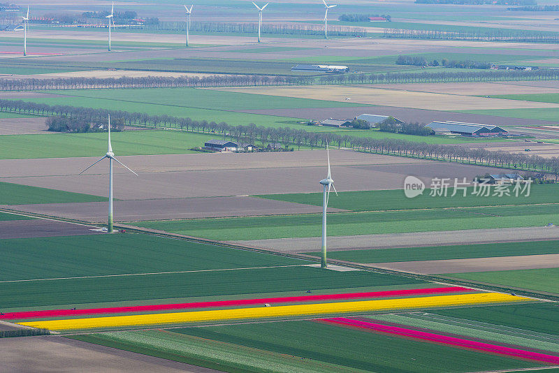 鸟瞰图上的风力涡轮机在一个农业领域