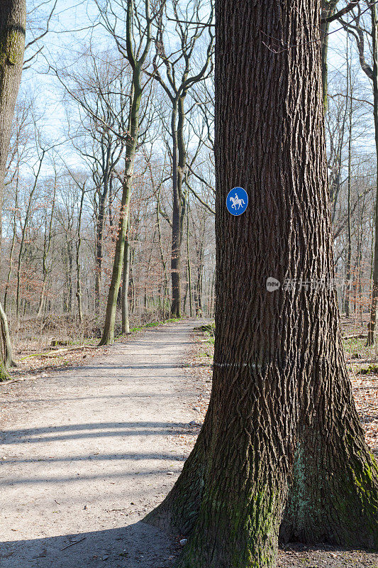 在埃森森林橡树上的马道标志