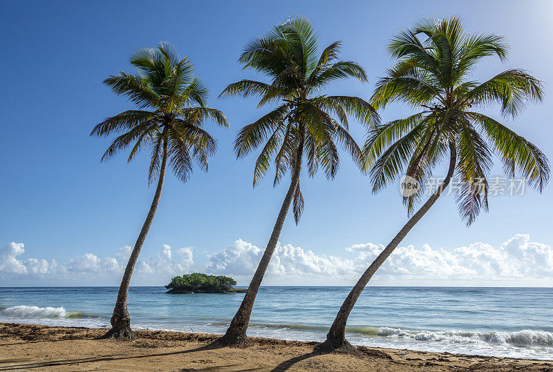 多米尼加共和国卡布雷拉的拉恩特拉达海滩。