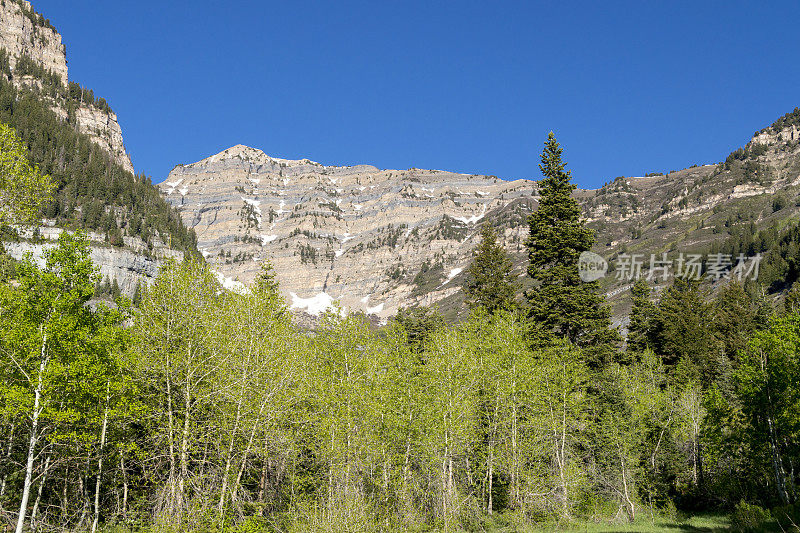 犹他州圣丹斯和Timpanogos山附近春季徒步旅行山上的最后一场雪