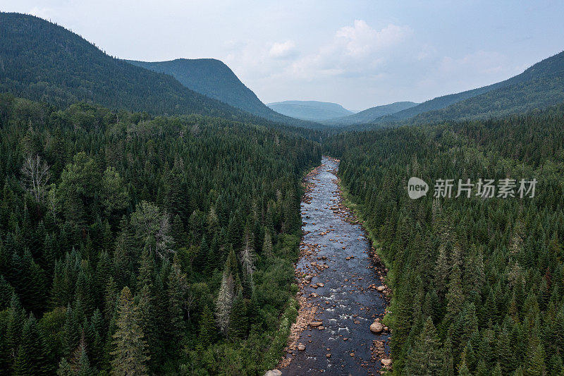 鸟瞰图的北方自然森林和河流在夏天，魁北克，加拿大