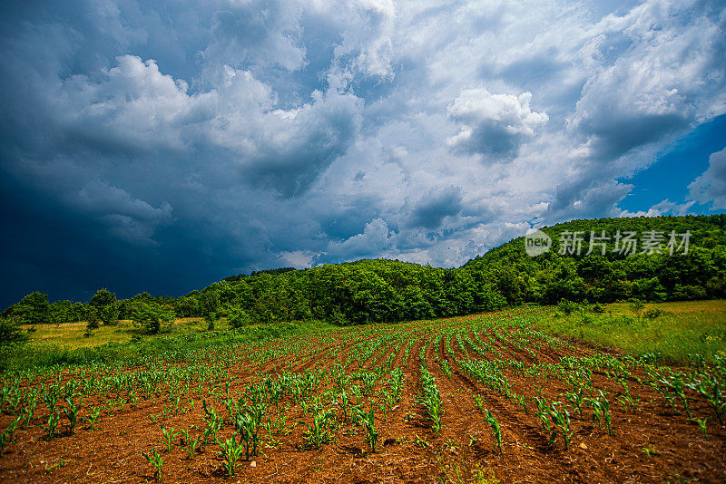 斯达拉普兰尼纳或古山